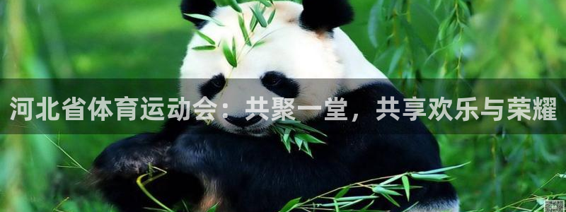 kok中欧体育登录：河北省体育运动会：共聚一堂，共享欢乐与荣耀