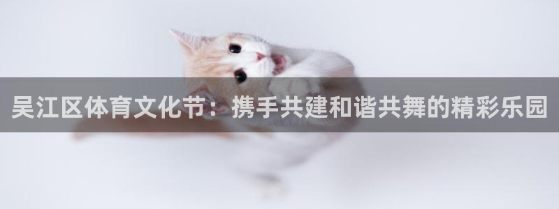 中欧体育kok：吴江区体育文化节：携手共建和谐共舞的精彩乐园