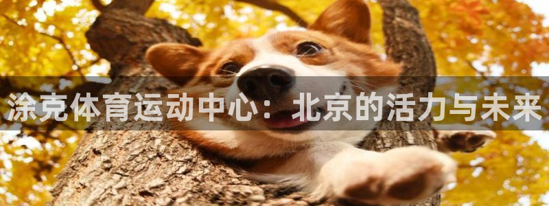 中欧体育(zoty)官网：涂克体育运动中心：北京的活力与未来