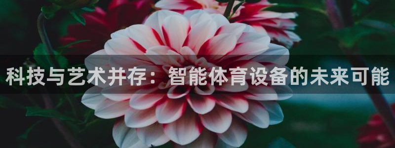 中欧体育app：科技与艺术并存：智能体育设备的未来可能