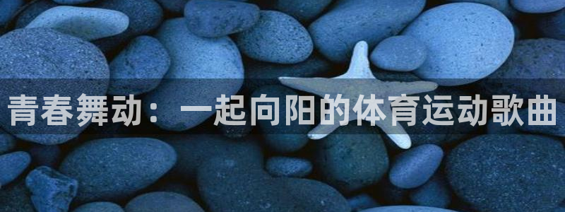 中欧体育李勇鸿：青春舞动：一起向阳的体育运动歌曲