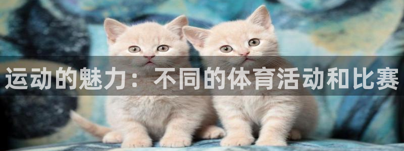 中欧体育最新地址：运动的魅力：不同的体育活动和比赛