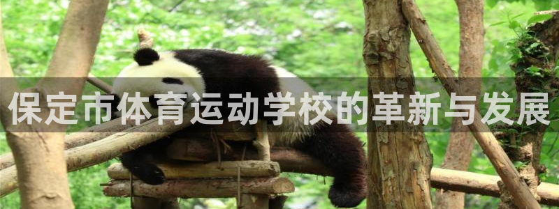 中欧体育网页版：保定市体育运动学校的革新与发展